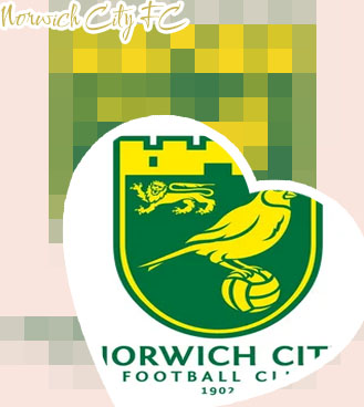 Norwich city team